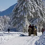 Kraners Alpenhof Bio Hotel Weissensee
