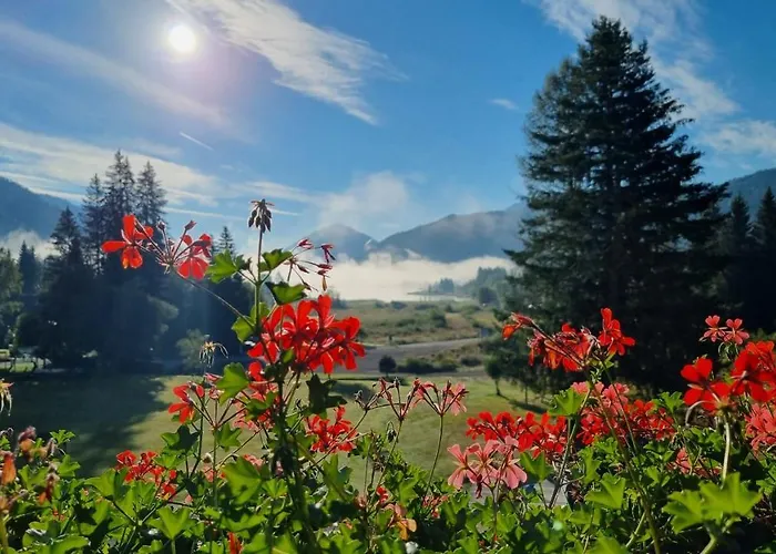 Kraners Alpenhof Bio 3* Weissensee